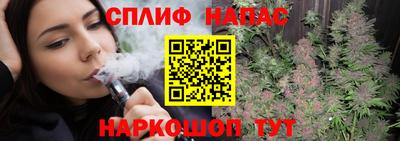 сатива Кулебаки