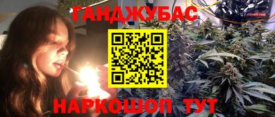 сатива Кулебаки